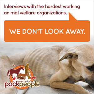 Interview with forAnima.com - Vegan, eco and animal friendly marketplace