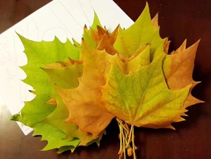 民族主义与改革年代(136)意大利与哈布斯堡帝国