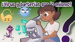 ¿Cuál es la diferencia entre virus y bacterias? - CuriosaMente 226