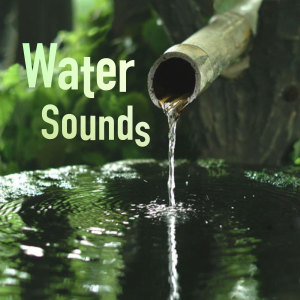 Spring Brook Sounds