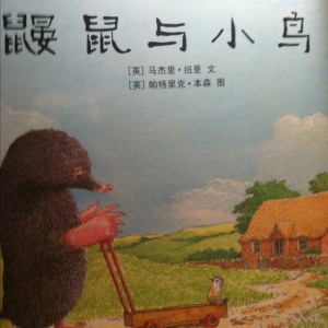 蒲公英“一看再看”之《鼹鼠与小鸟》