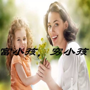项目最终获得成功的主要因素包括哪些方面