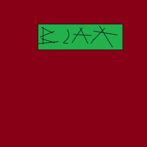 B.S.A.A. 2
