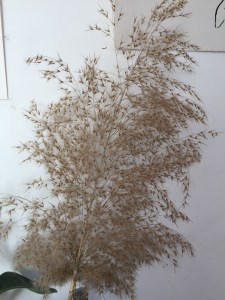 民族主义与改革年代(132)十九世纪中期的大英帝国